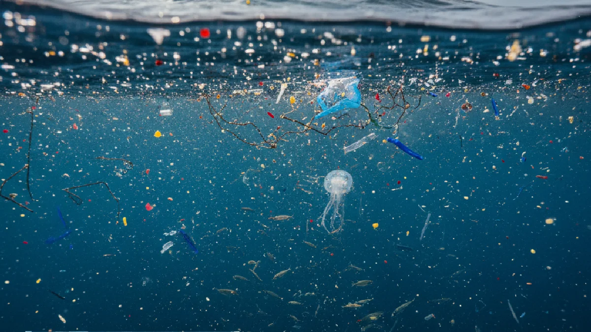 Illustration: Oceanic Microplastics: Interactive Mapping Guide - Energy & Environment